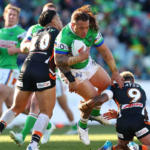 NRL Elodonto Csapatok