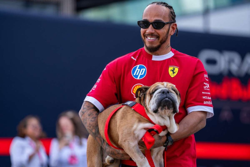 Lewis Hamilton halas a tamogatasert Roscoe halala utan