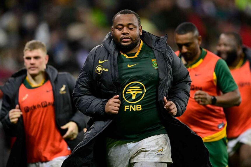 A Springbok a Franciaorszag elleni osszecsapas elott csapast szenvedett el mivel Ox Nche hazater