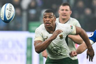 Damian Willemse a Springbok edzoknek koszoni a jatek kezeleset Olaszorszag ellen