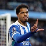 A Brighton konnyeden gyozott ezzel 11 merkozes ota nyeretlenul tartja a Burnleyt