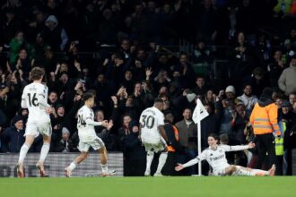 Harry Wilson kesoi gyoztes golt szerez mikozben a Fulham visszazarkozik es sokkolja a Brightont