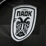 Het PAOK szurkolo halalra gazolt egy kisbusz baleseteben az Europa Liga merkozes elott Lyonban