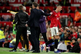 ez a manchester united sztar szeretne ha michael carrick kapna meg a manchester united edzoi posztjat