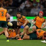 Wallabik es All Blacks merkozes az ANZAC Napon 2027 ben
