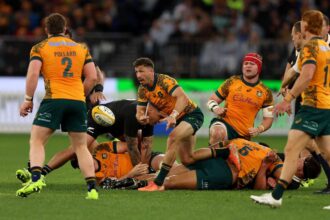 Wallabik es All Blacks merkozes az ANZAC Napon 2027 ben