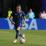 A Newcastle United megerositette Amar Dedic lejegyzst a Benficatol oteves szerzodessel