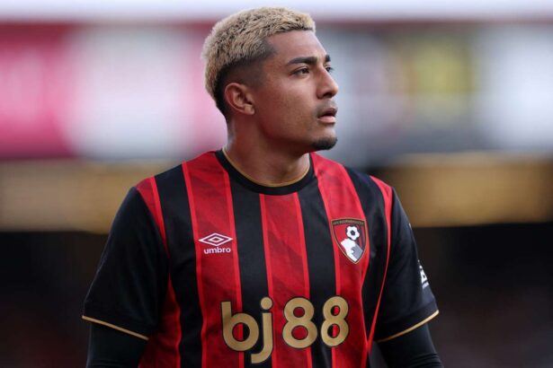Bournemouth Julian Araujo muteten esett at miutan combserulest szenvedett